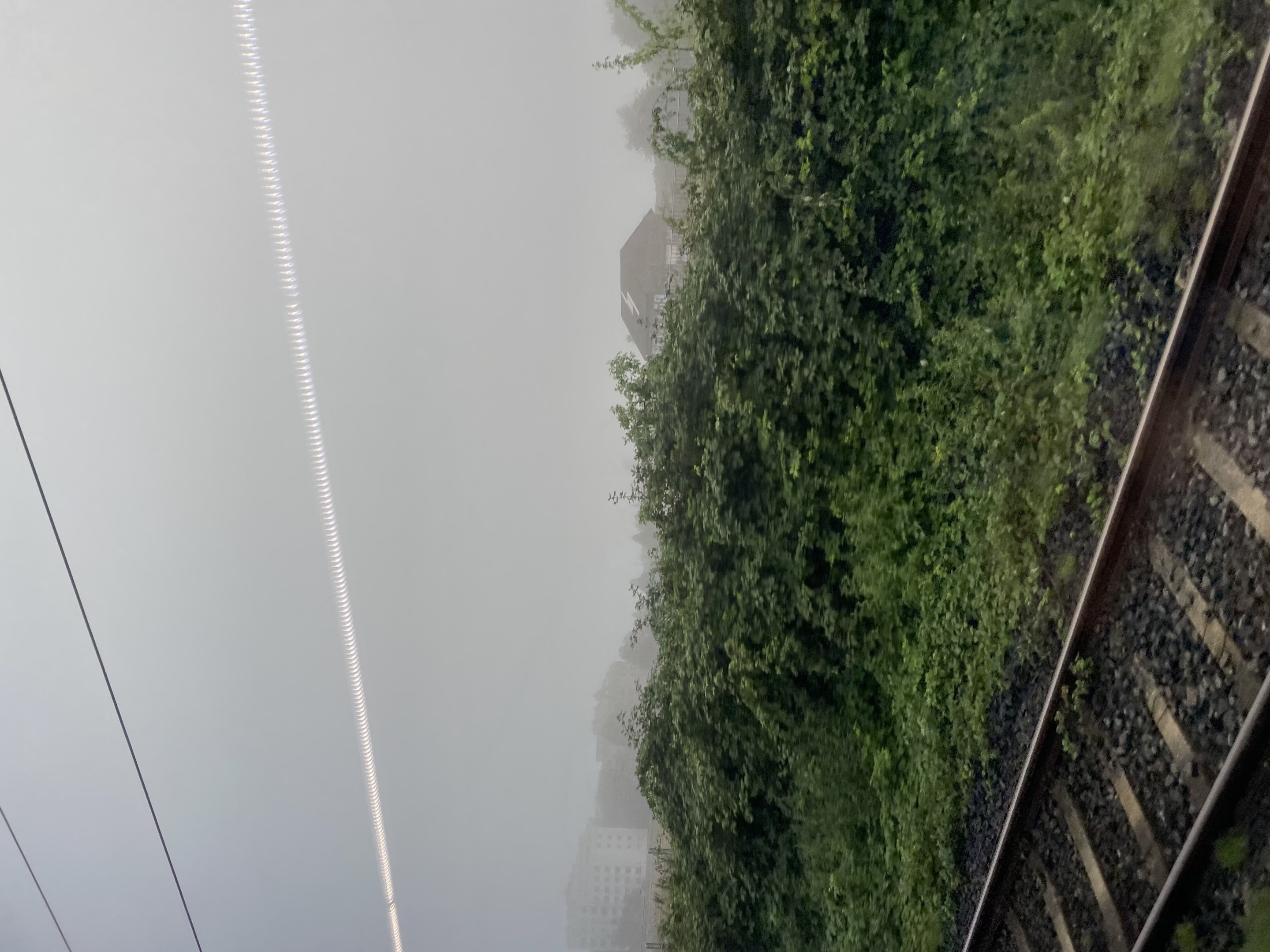 20230817 Augustnebel