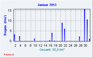 Januar 2013 Niederschlag